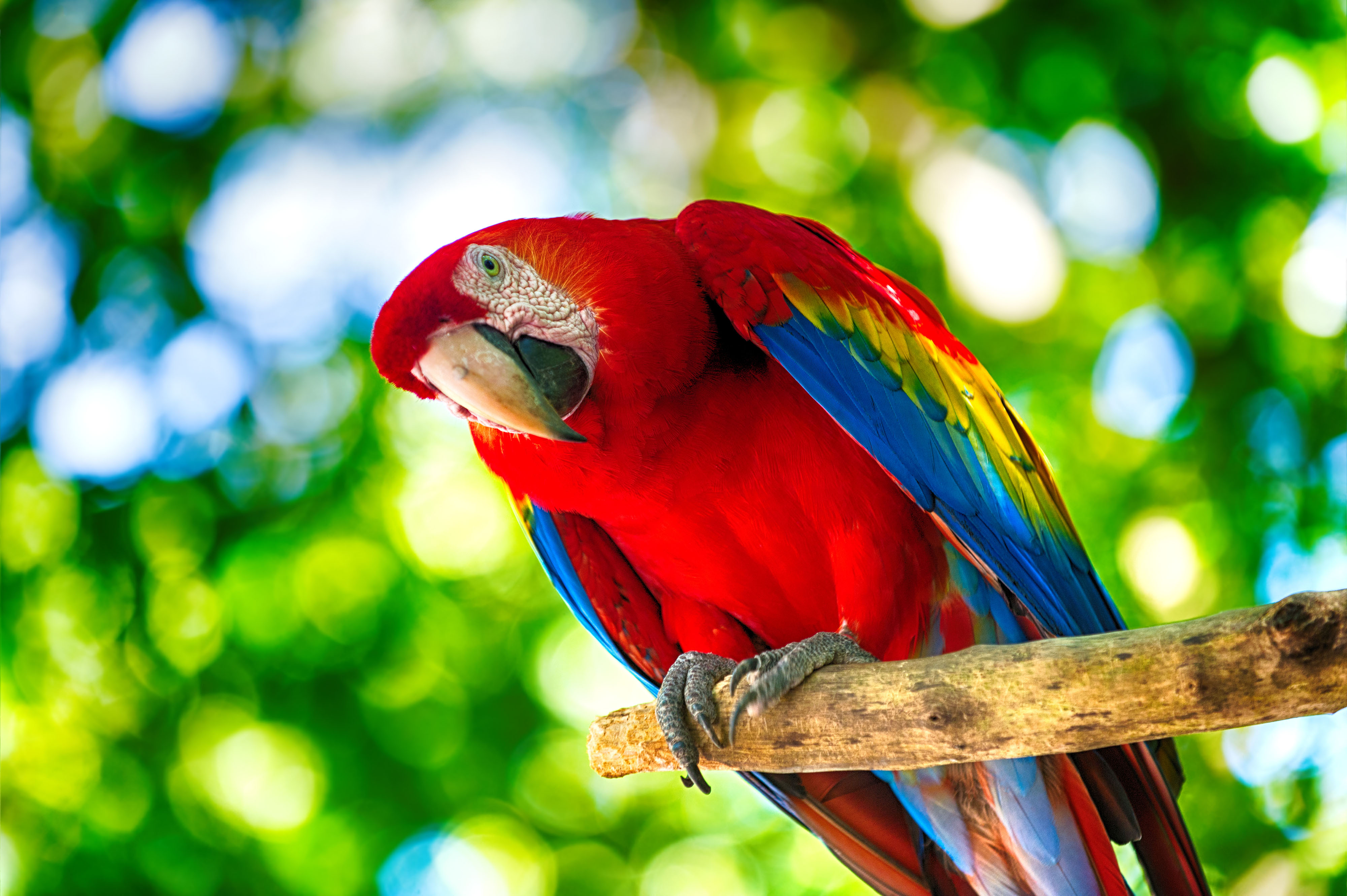Costa Rica