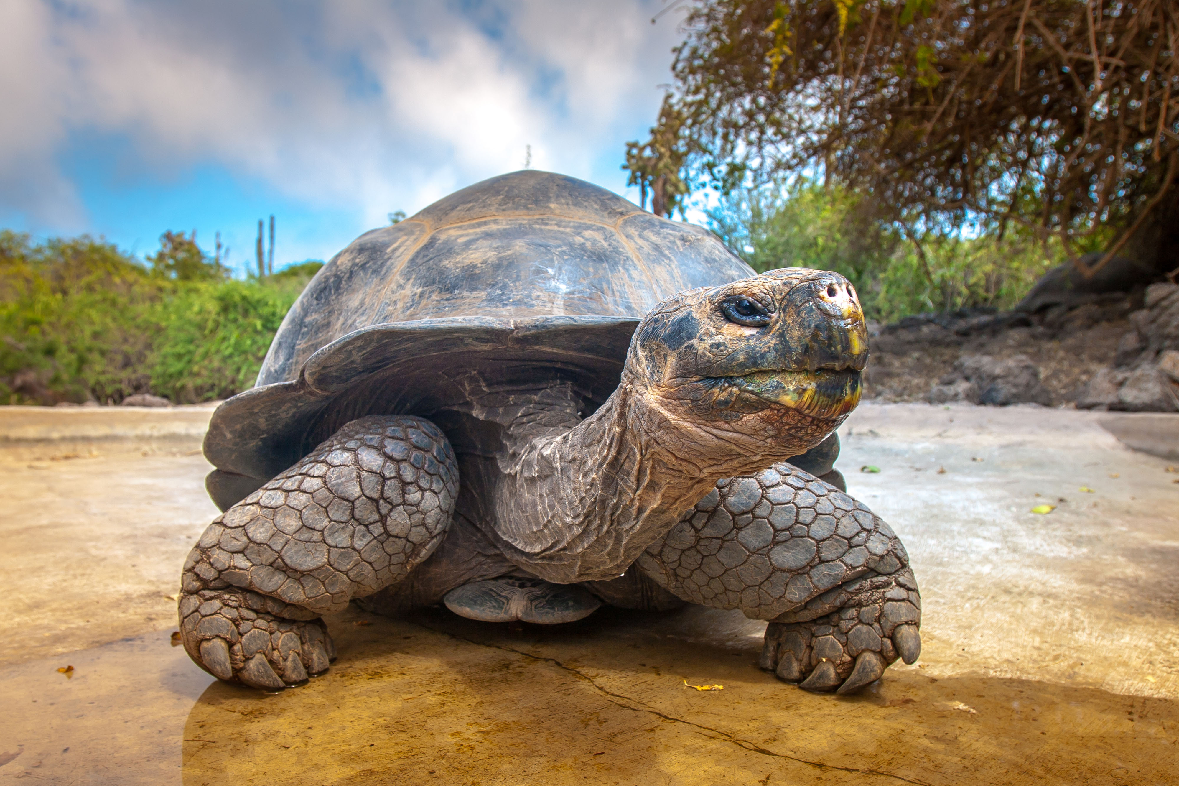 Galapagos Ecuador