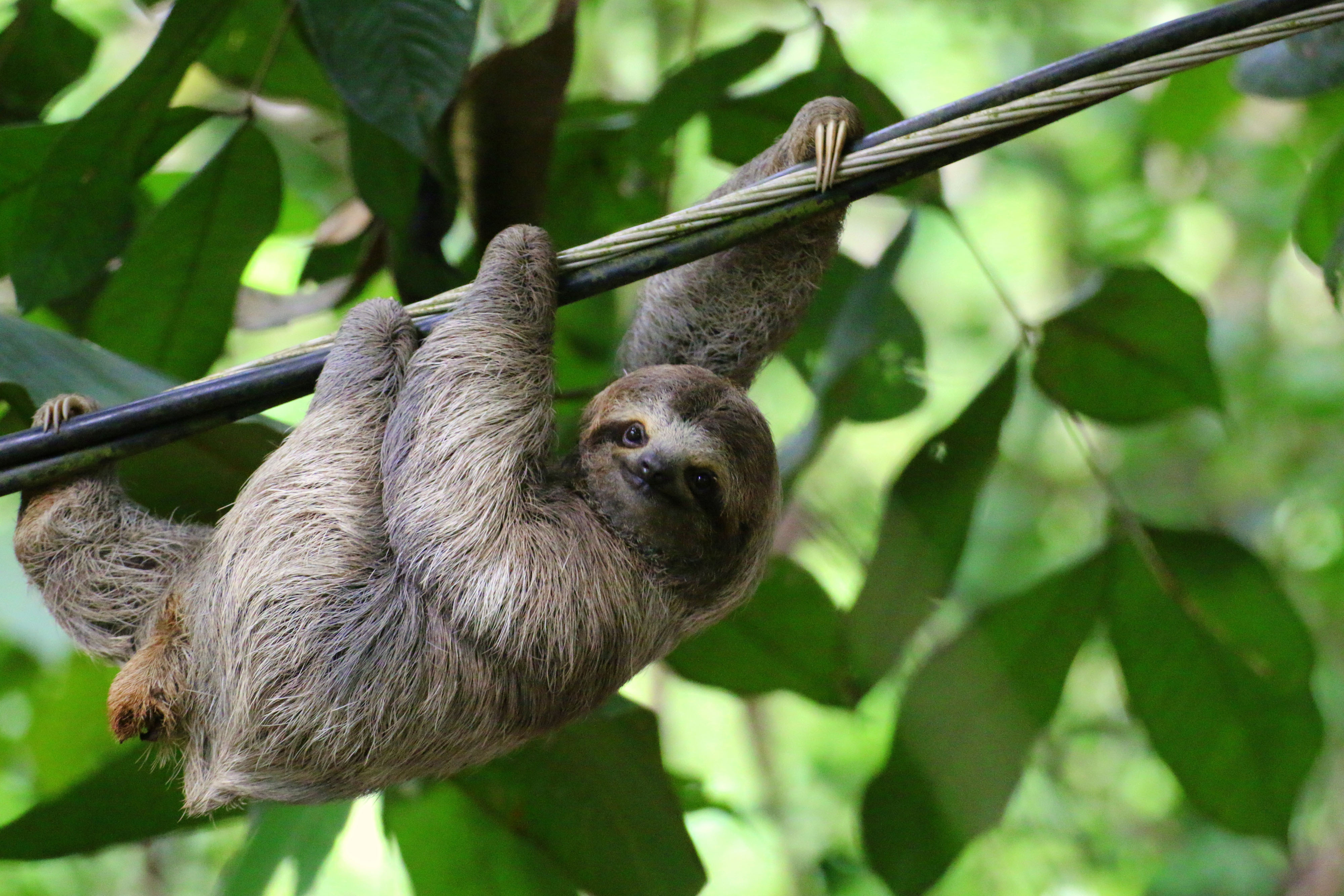 Costa Rica