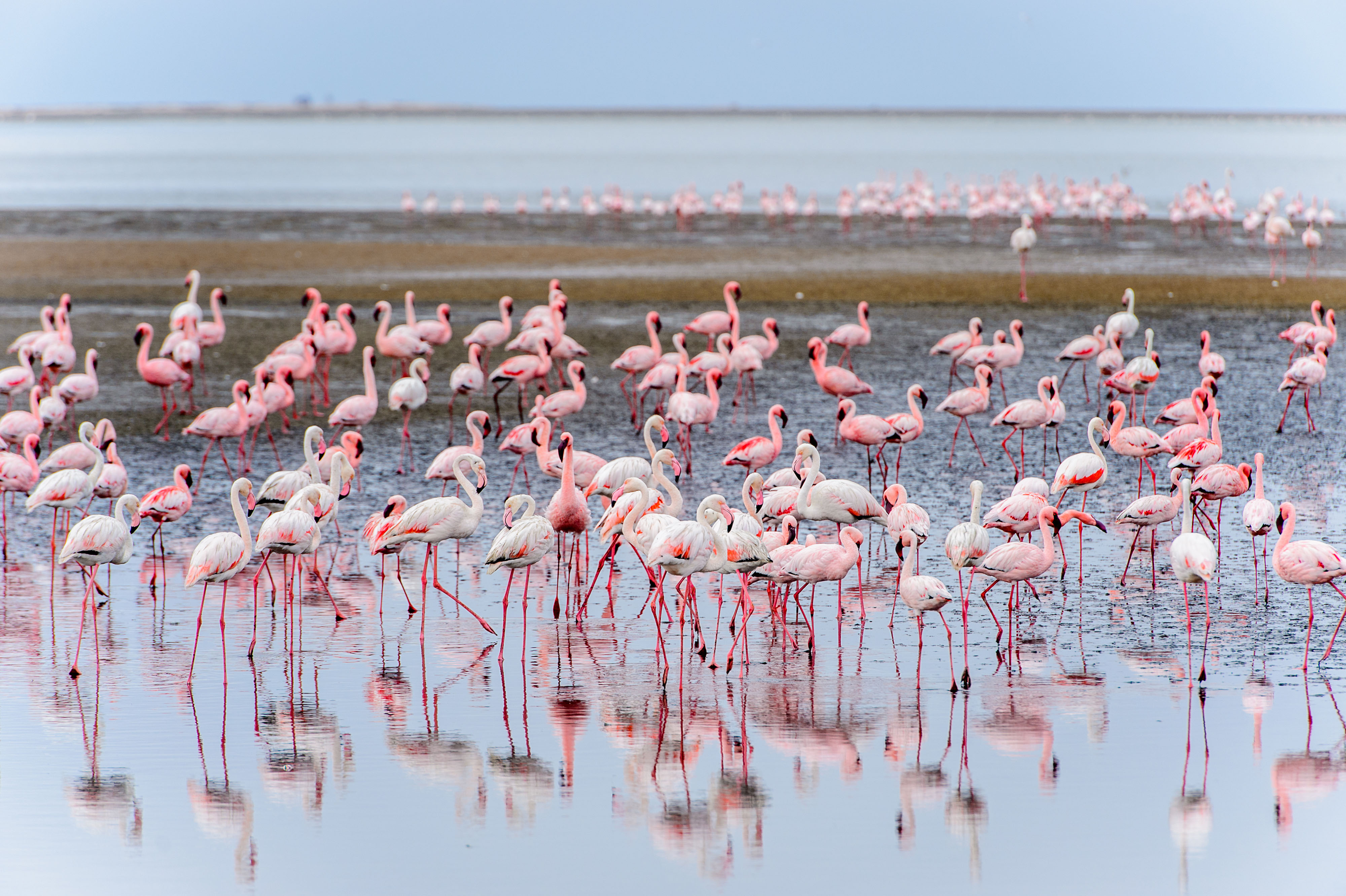 Südliches Namibia