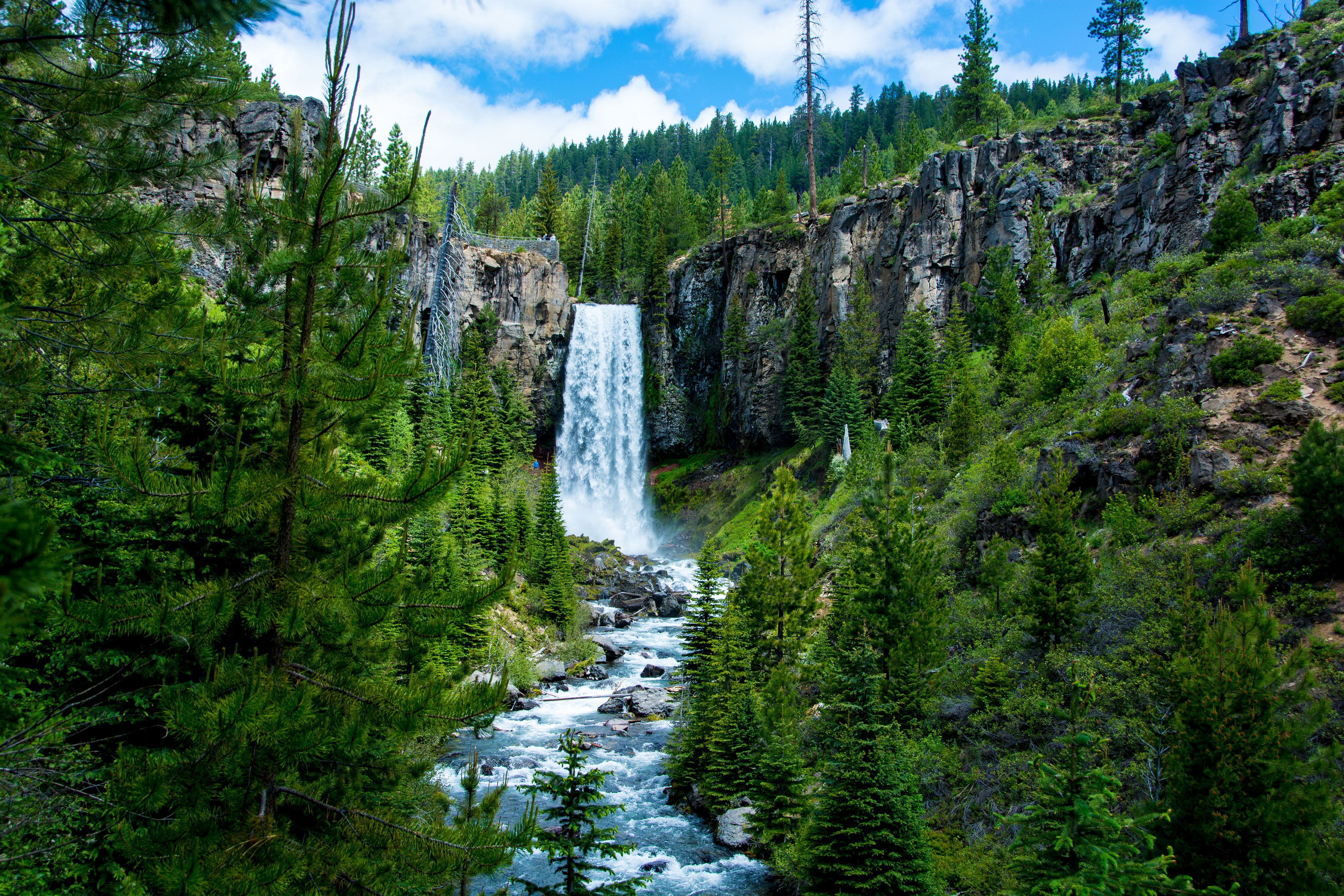 Oregon USA