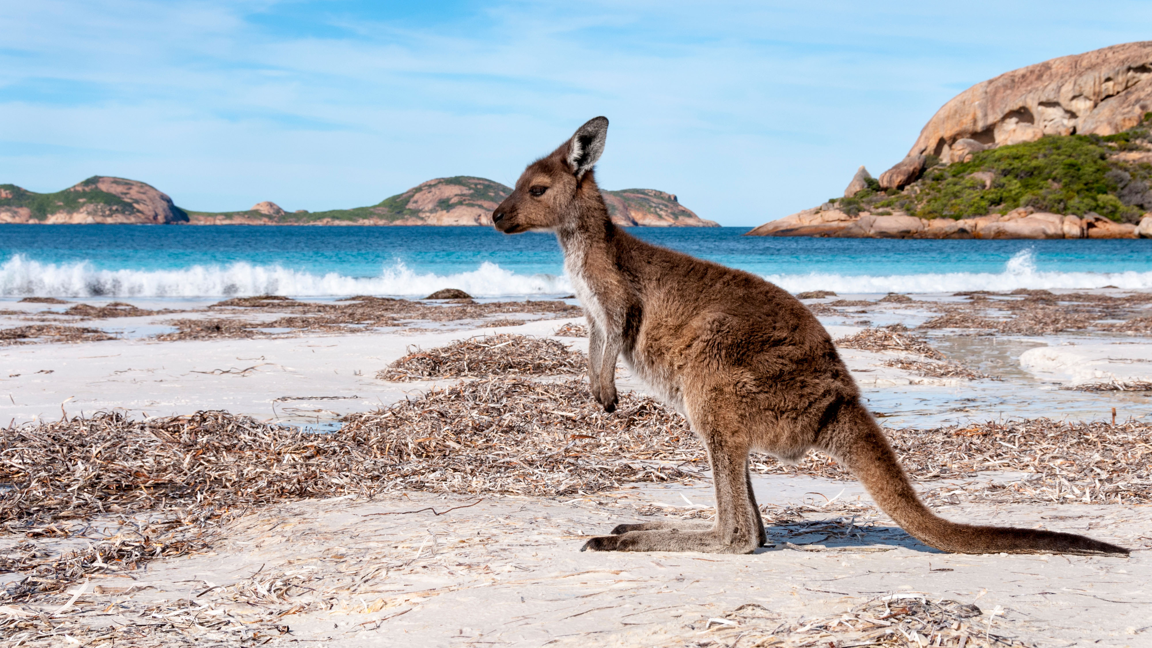 Kangaroo Island Australien