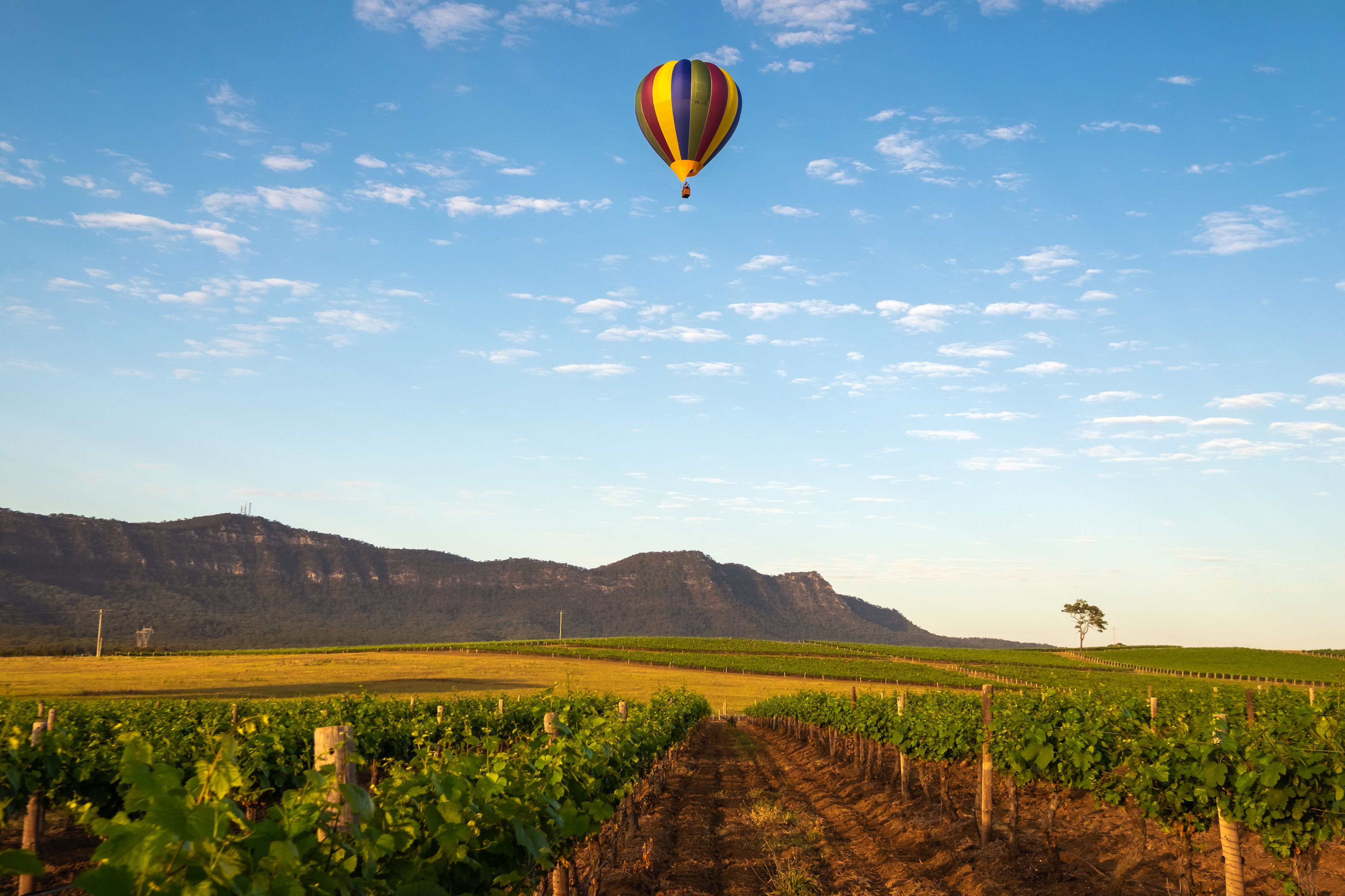 Hunter Valley Australien