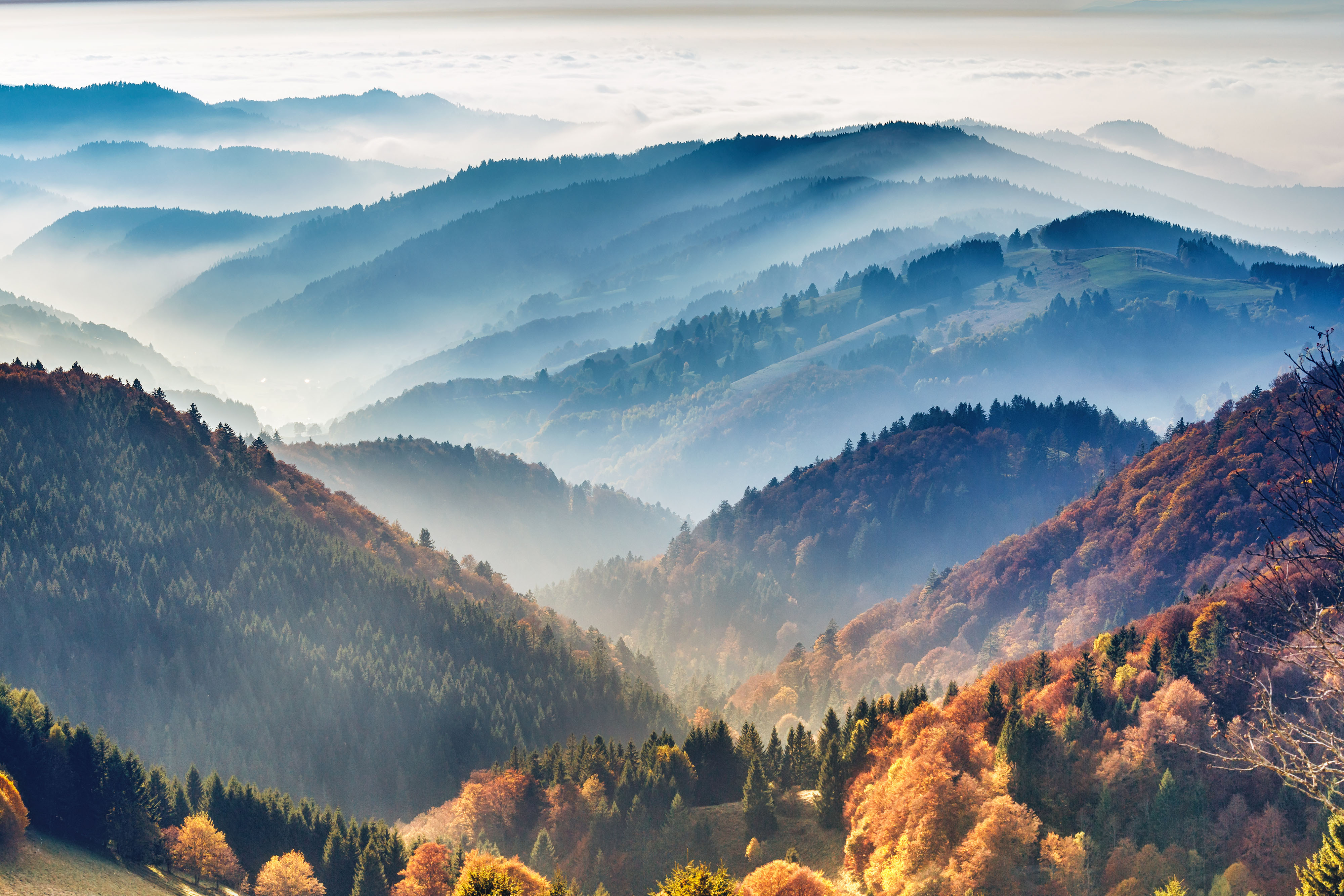 Schwarzwald Deutschland