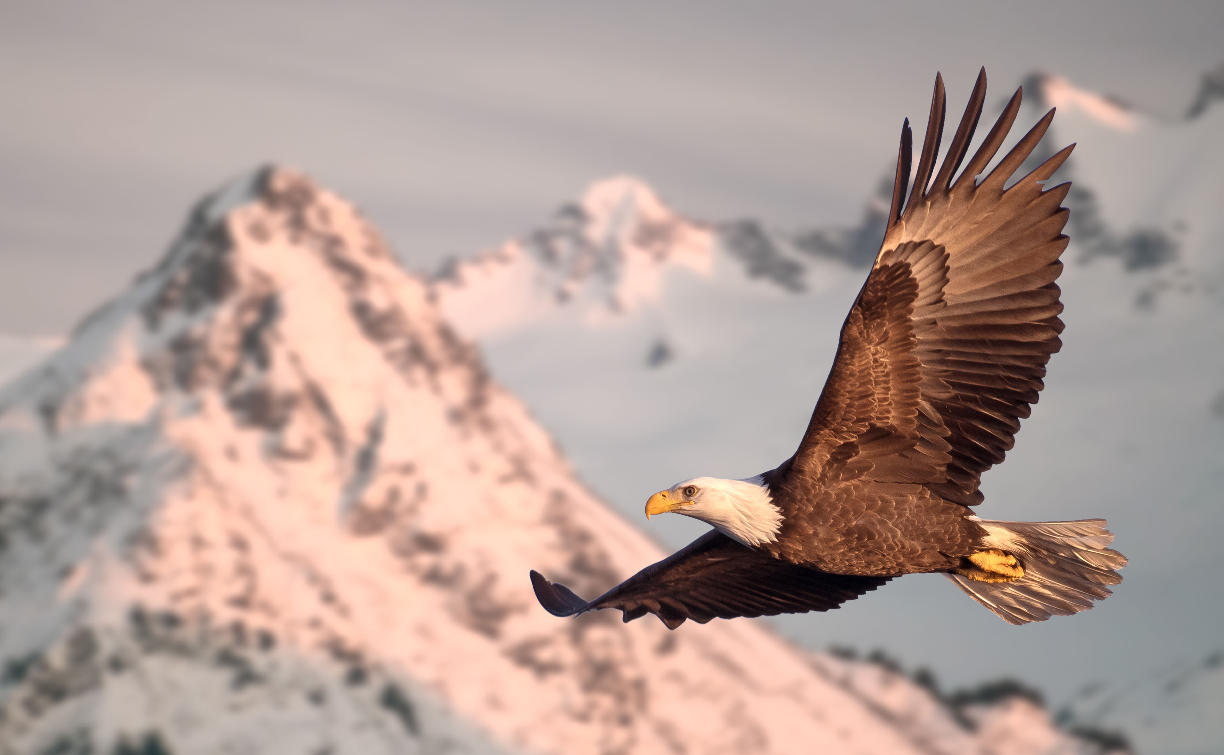 Alaska USA